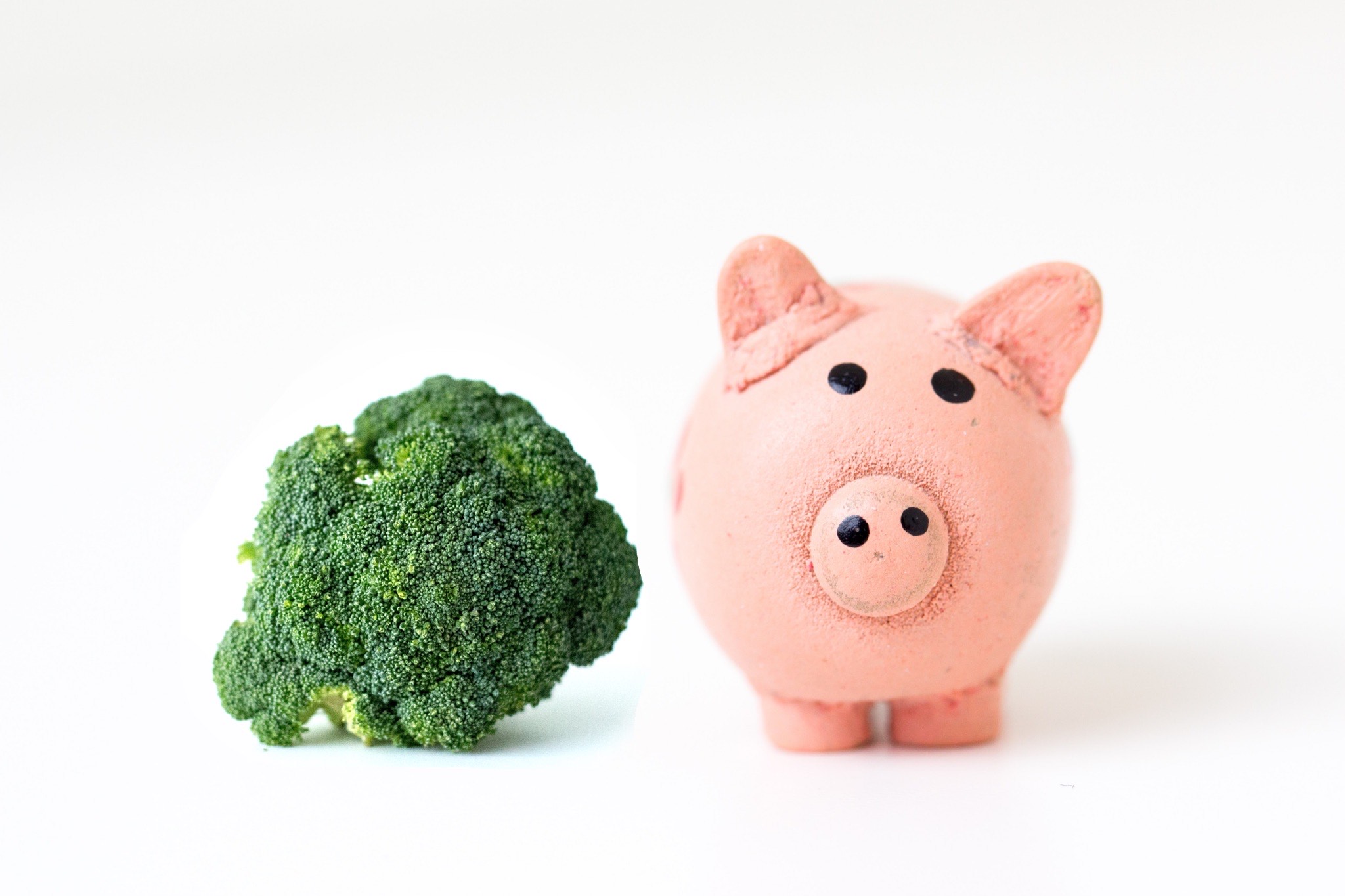 Shopping Plant-Based on a Tight Budget: 7 Tips